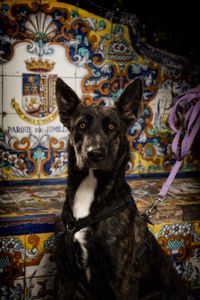 ADOPCI&Oacute;N